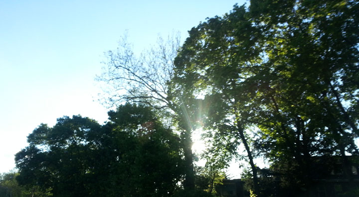 Sunset At High Speed.jpg